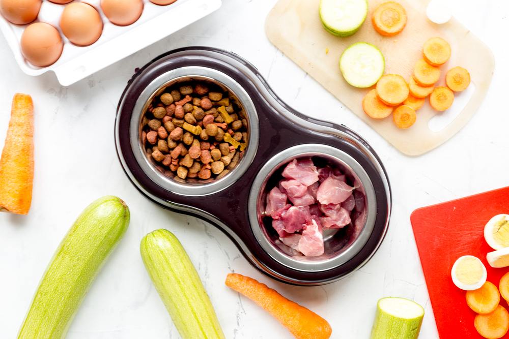 Dog Food