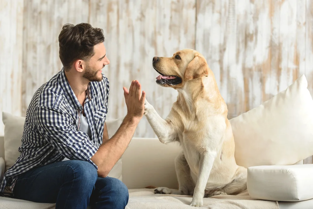 A man and his dog on sofa