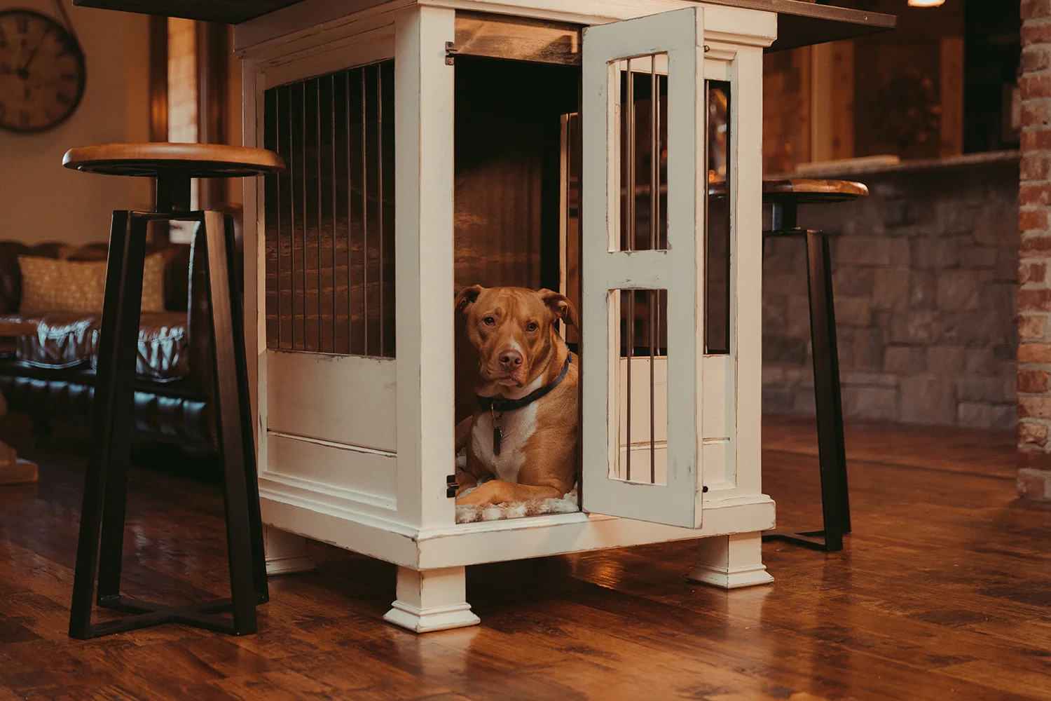 stylish dog crates