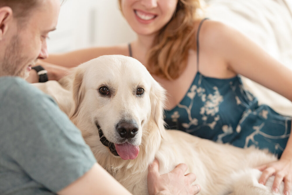 keep dog warm in crate