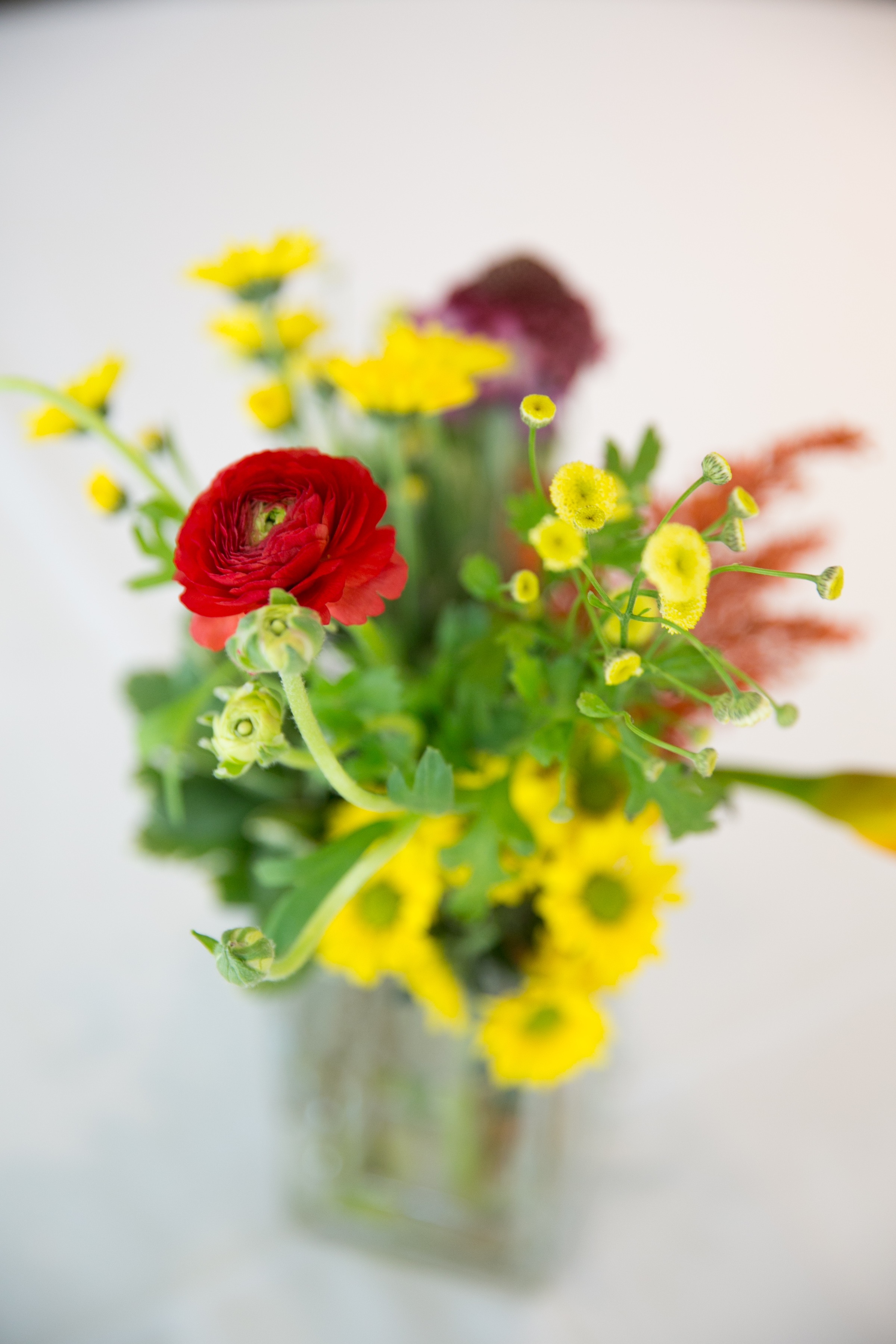 NWW Fall Auction-012.jpg