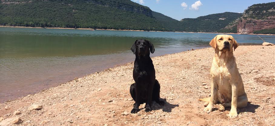 unnamed-12 còpia.jpg