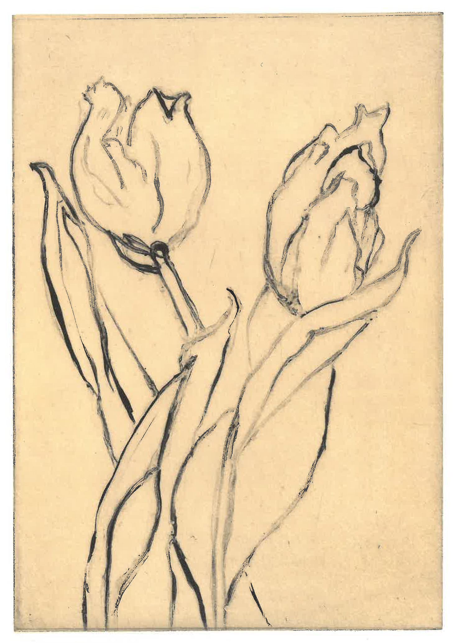 etching-scan01.jpg