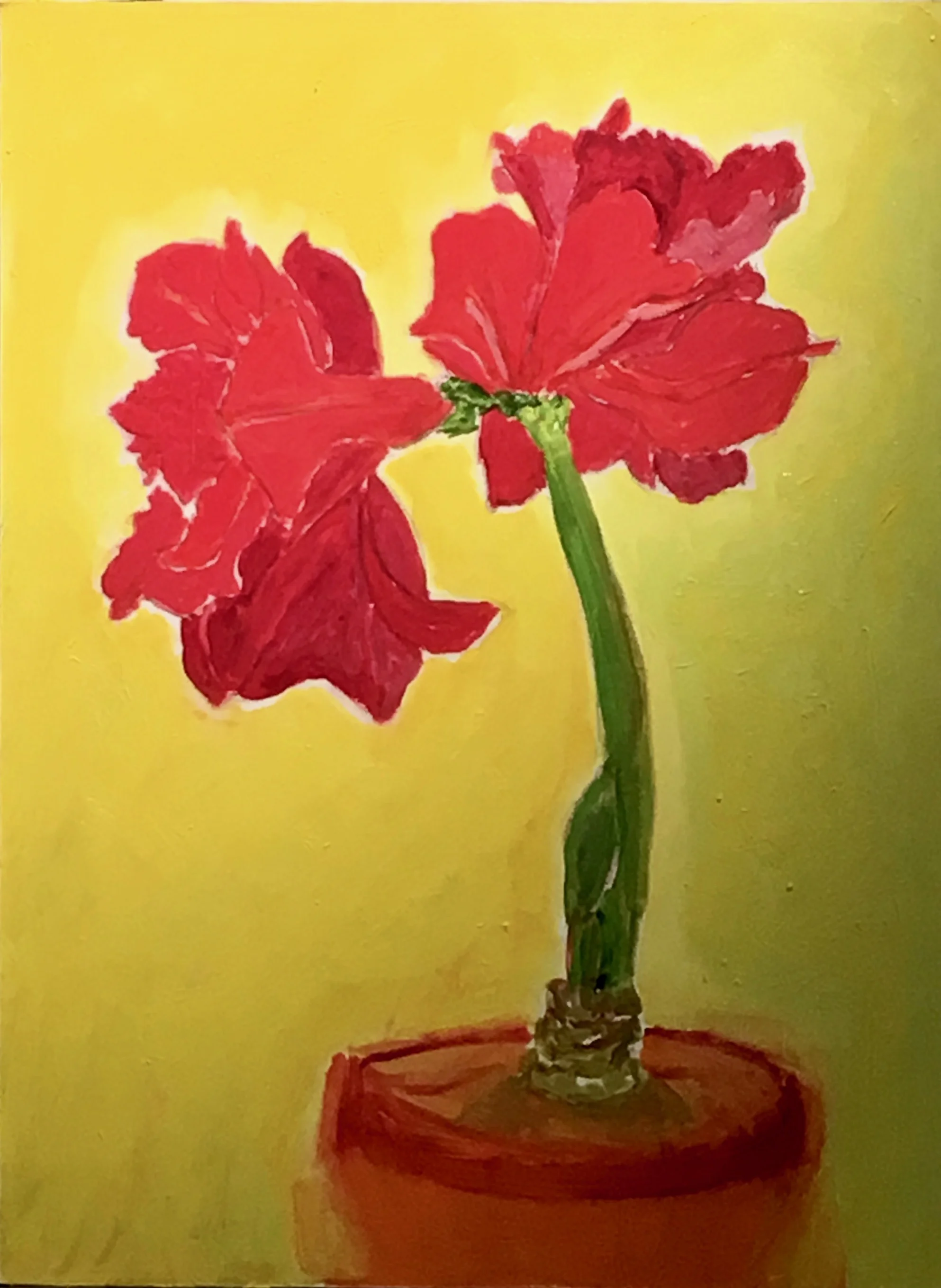 Amaryllis, 16 x 24 inches