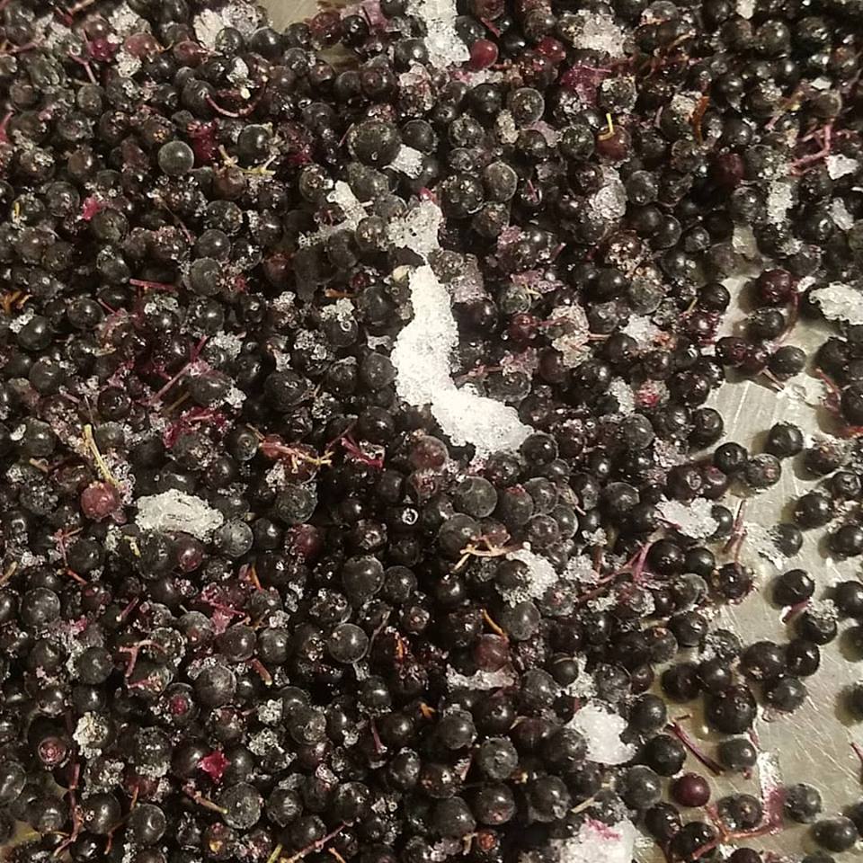 elderberries.jpg