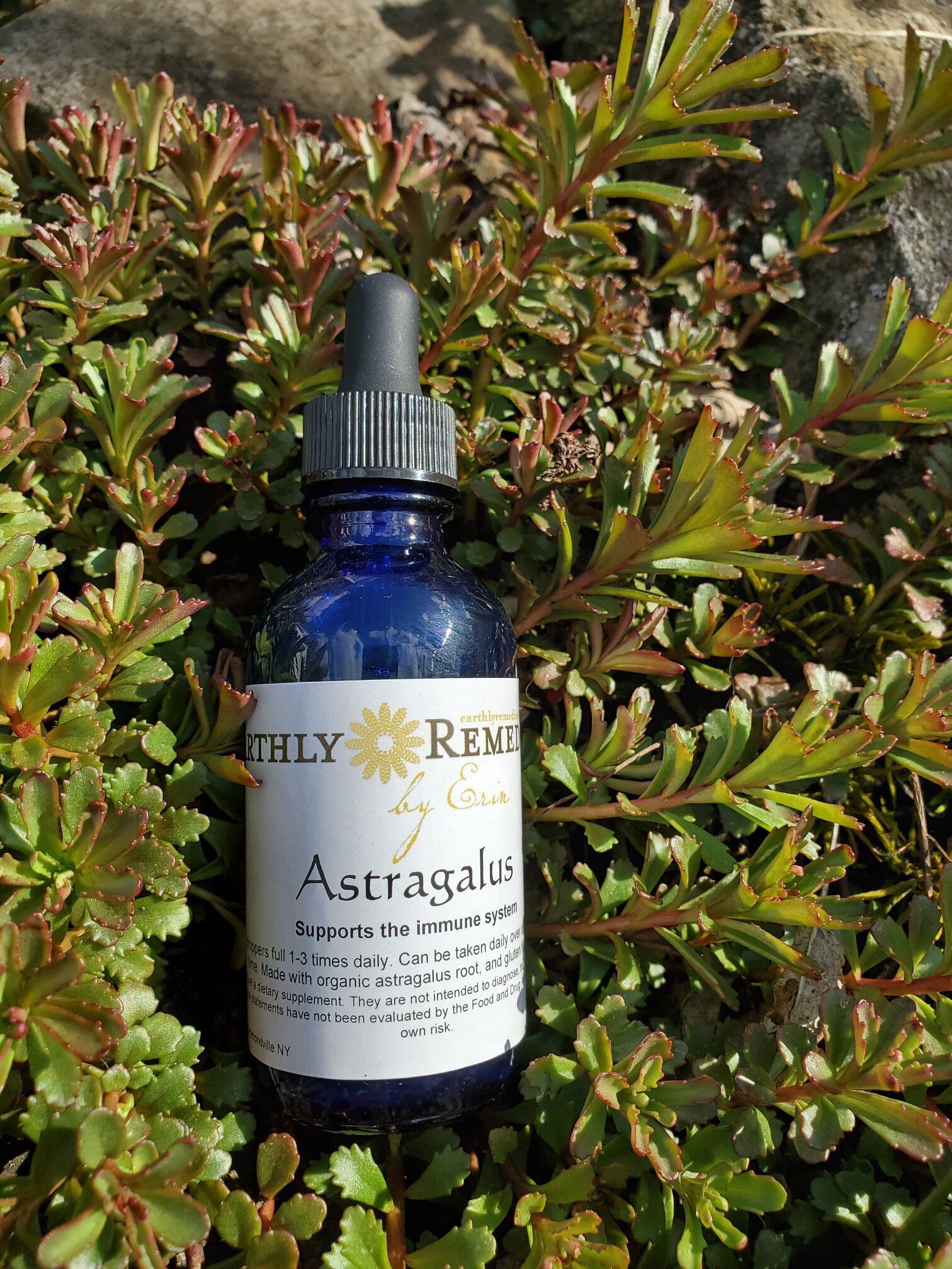astagalus tincture.jpg