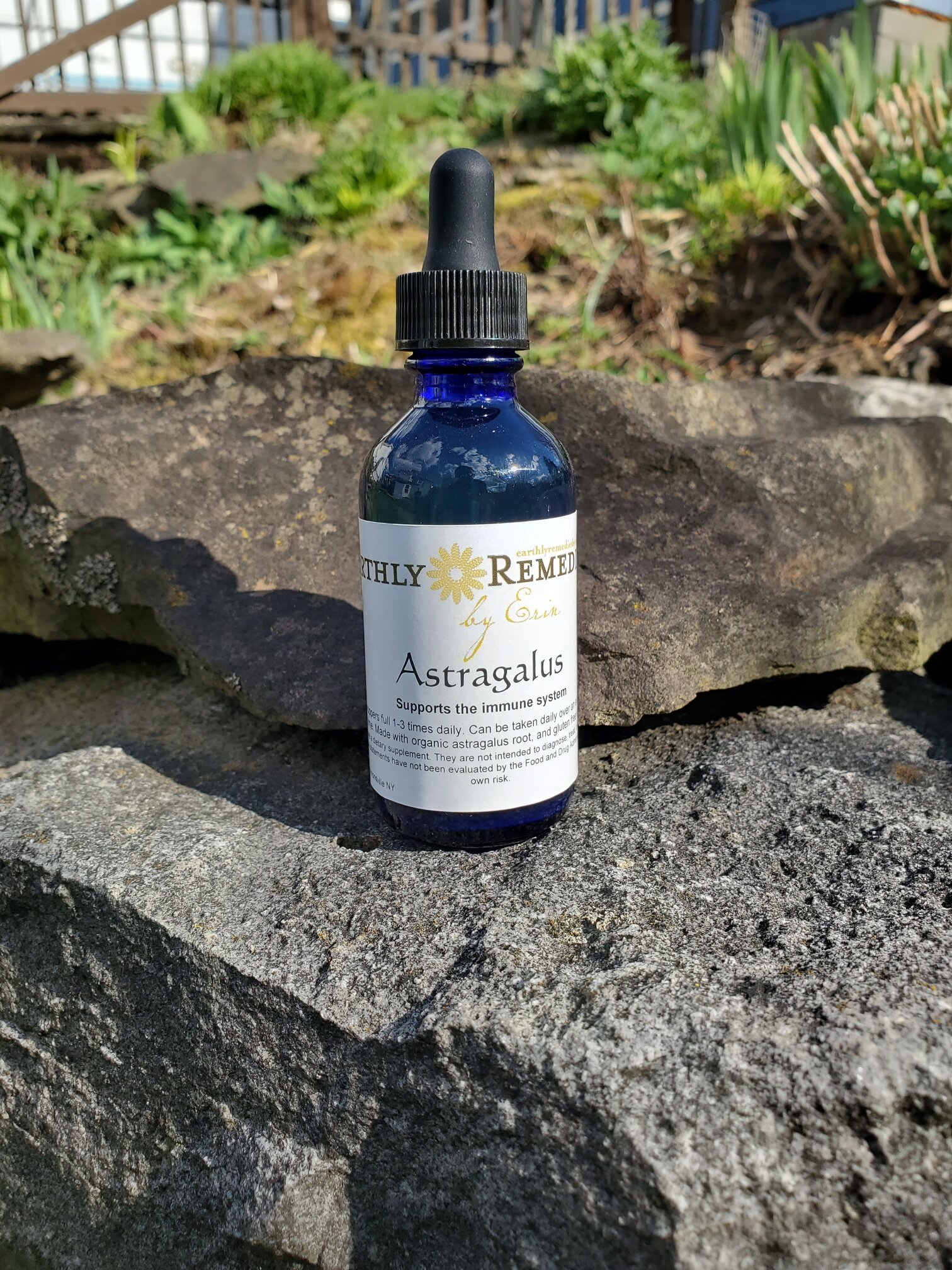 astagalustincture2.jpg