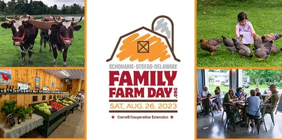 Family Farm days
