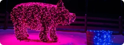 Glimmernights Holiday Market
