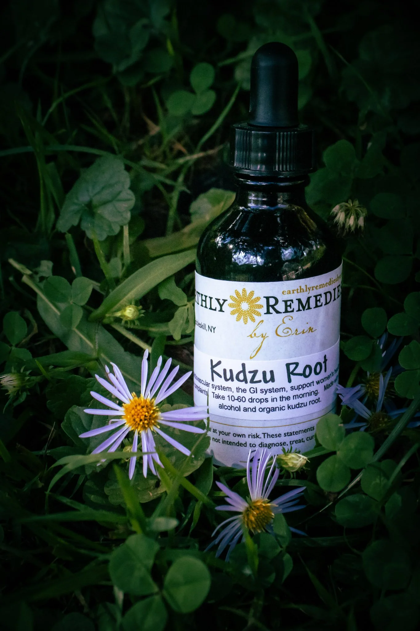kudzu1.jpg