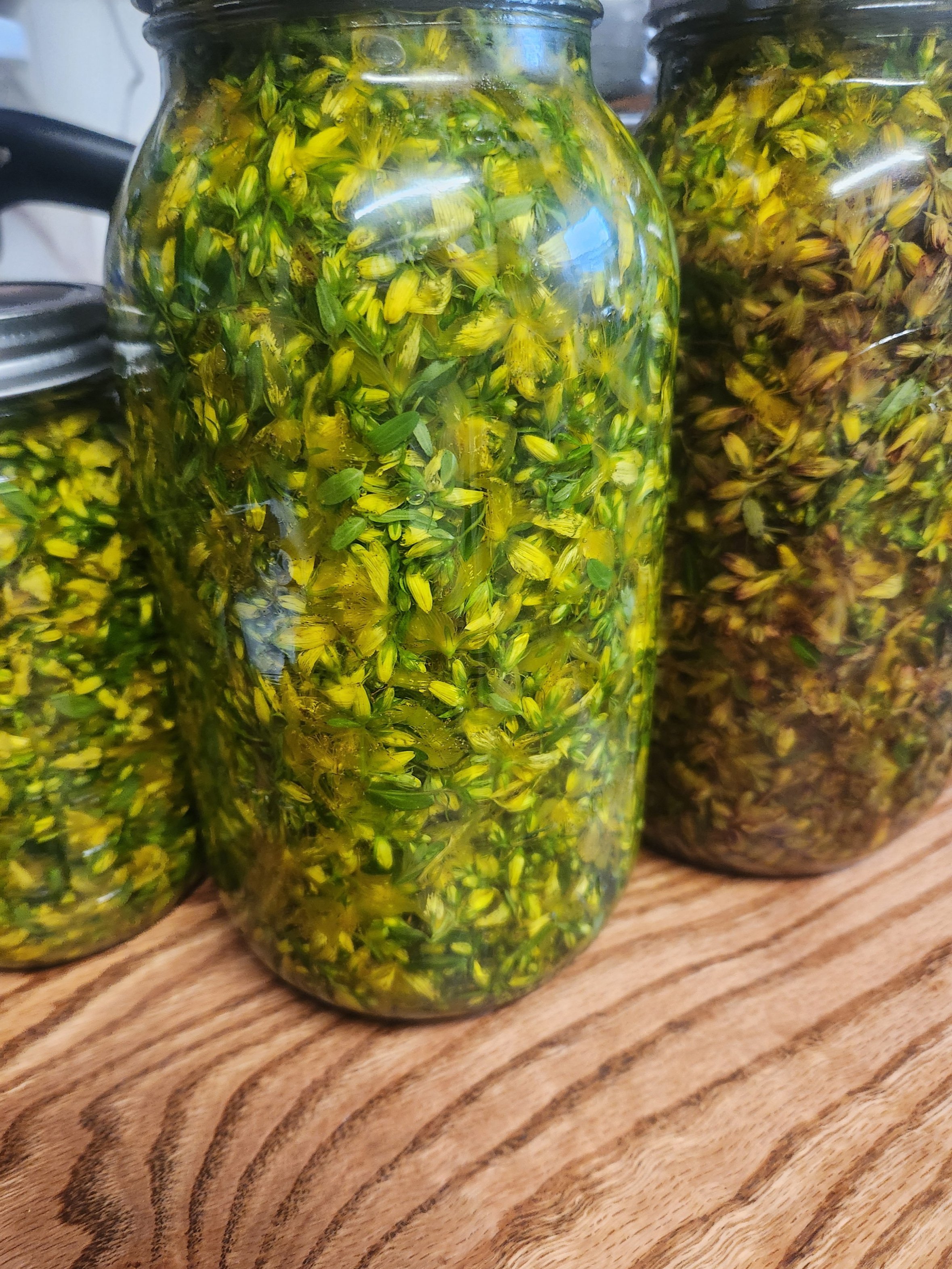 st+johns+wort.jpg