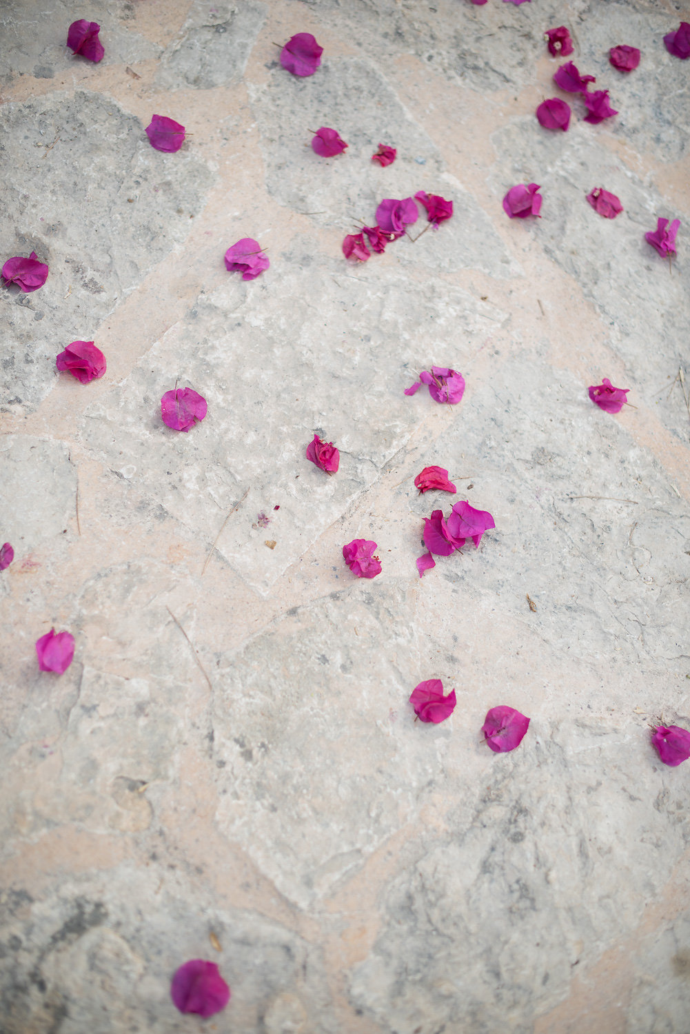 Ibiza Honeymoon