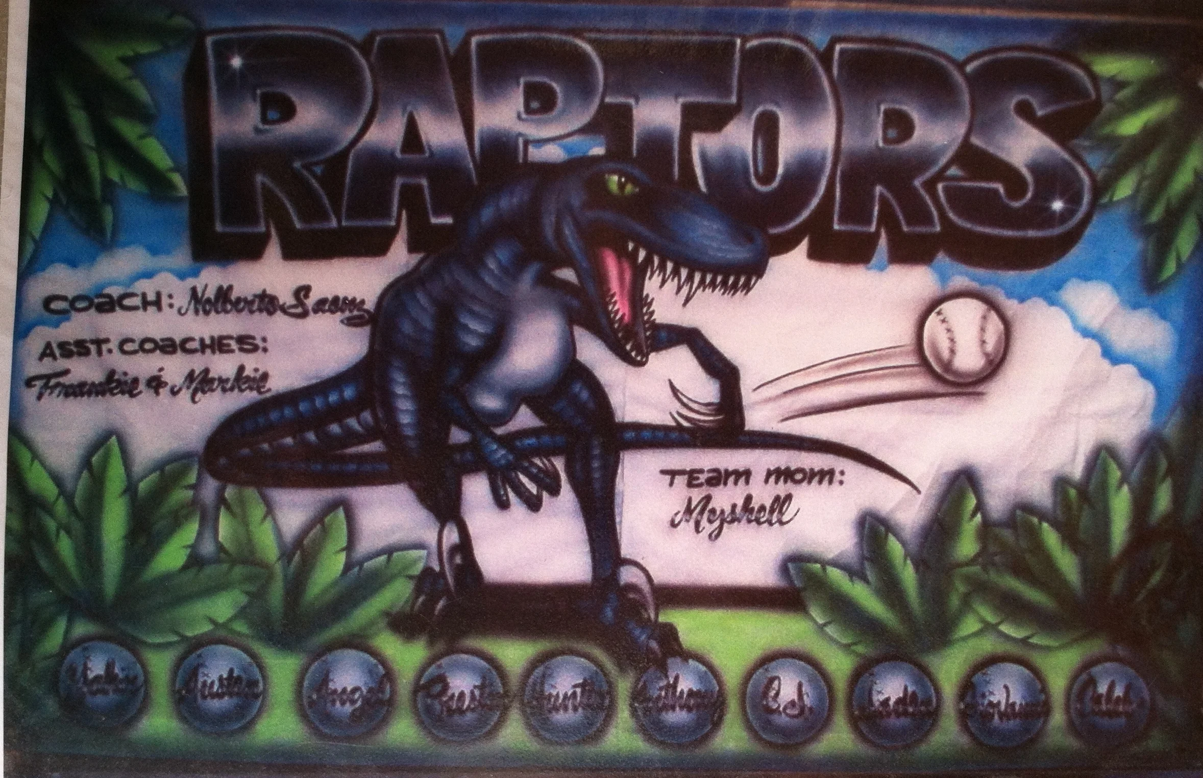 Raptors $119.99 plus shipping