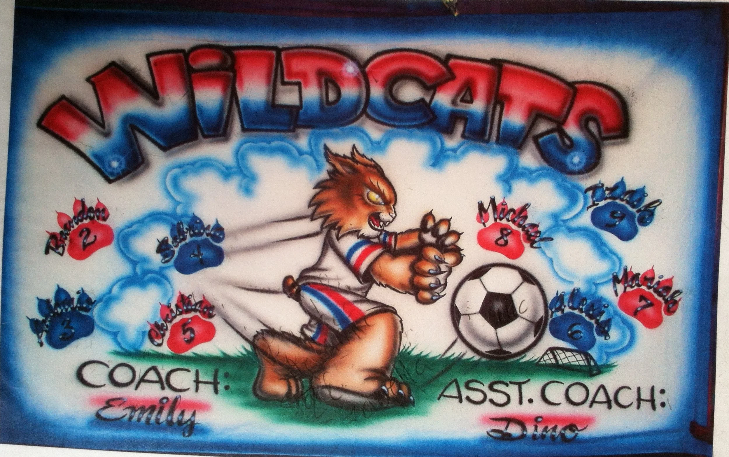 Wildcats Banner $89.99 plus shipping