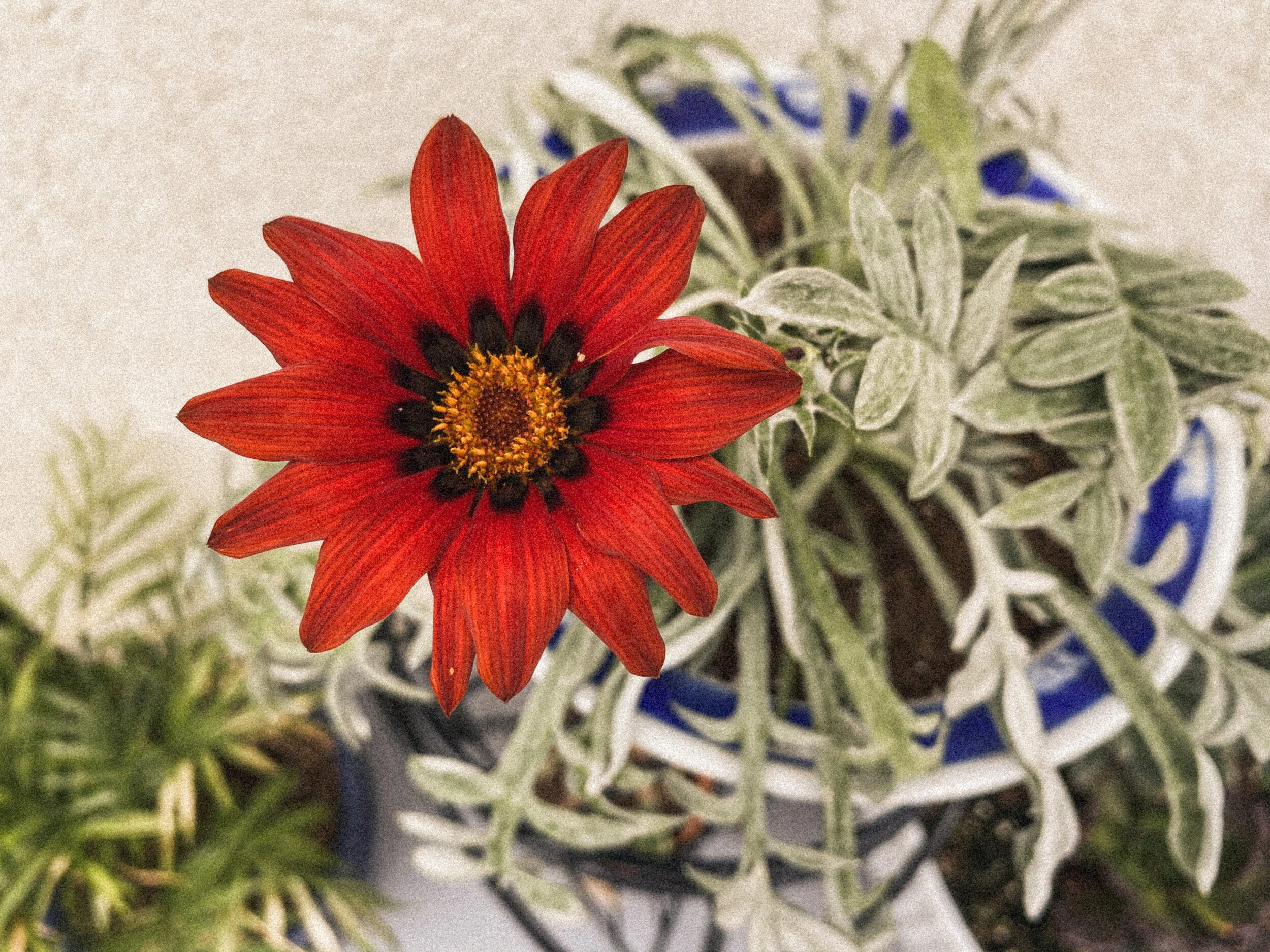 What I've Learned in Quarantine