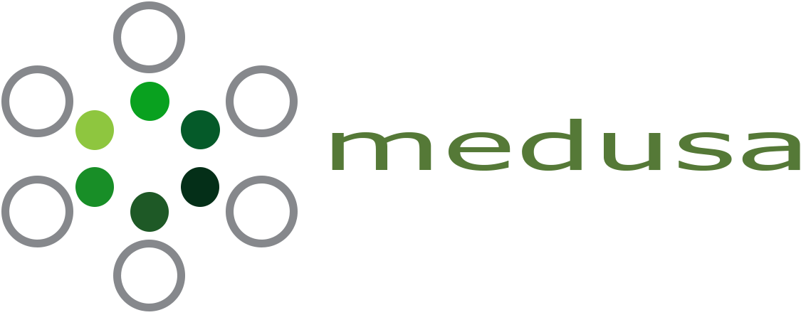 Medusa Logo PNG.png