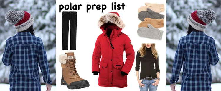 Polar Vortex Preparation