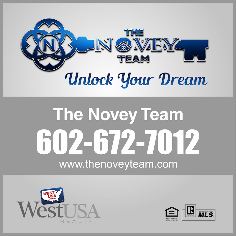 Novey-grey (1).jpeg
