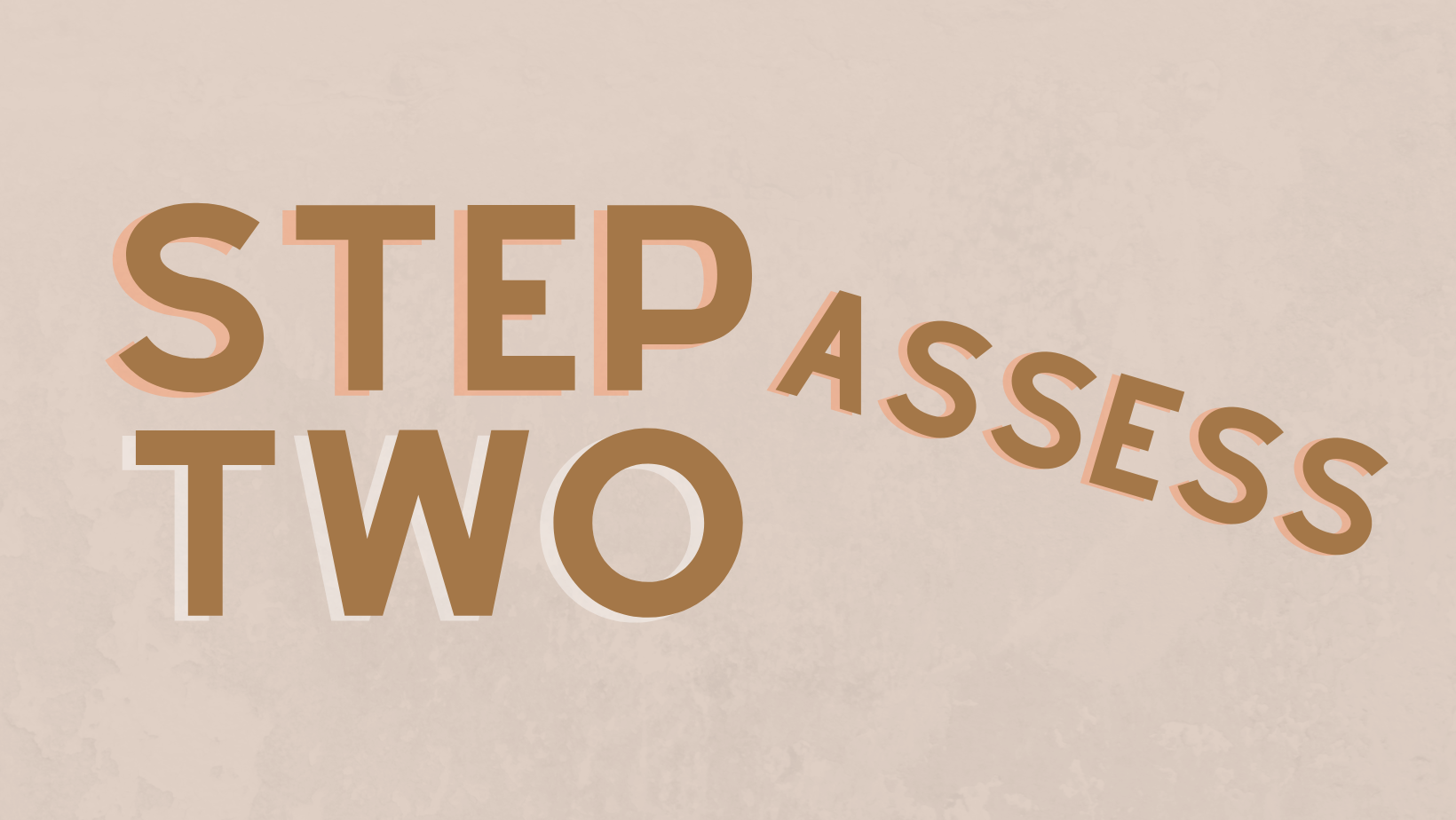 Step Two sales page text block(1).png