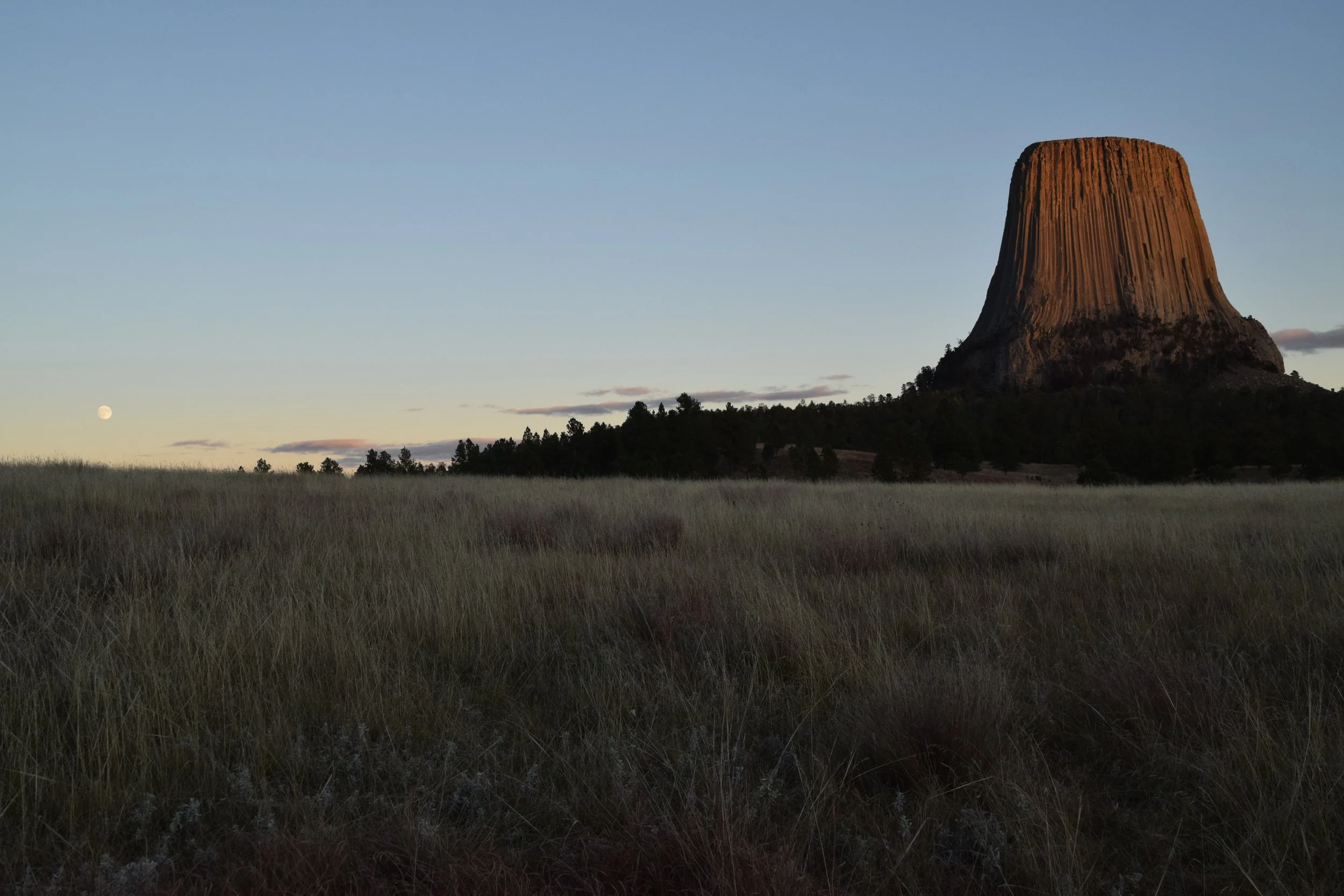 DSC_0365.JPG