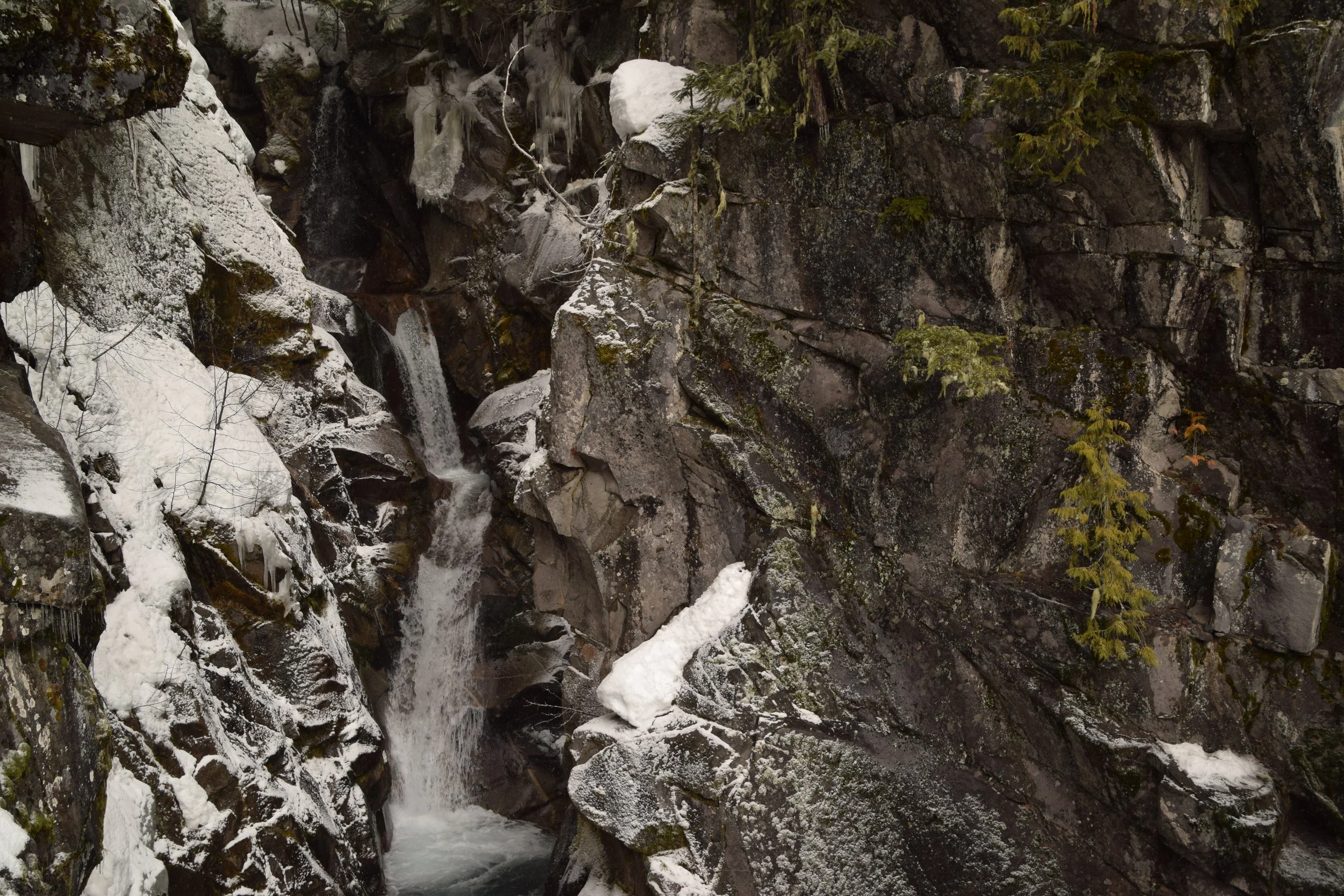  Michiant - Bon Iver Mount Rainier National Park, Washington State  Prints &nbsp; &nbsp; Canvas &nbsp;&nbsp;&nbsp; Special Order  