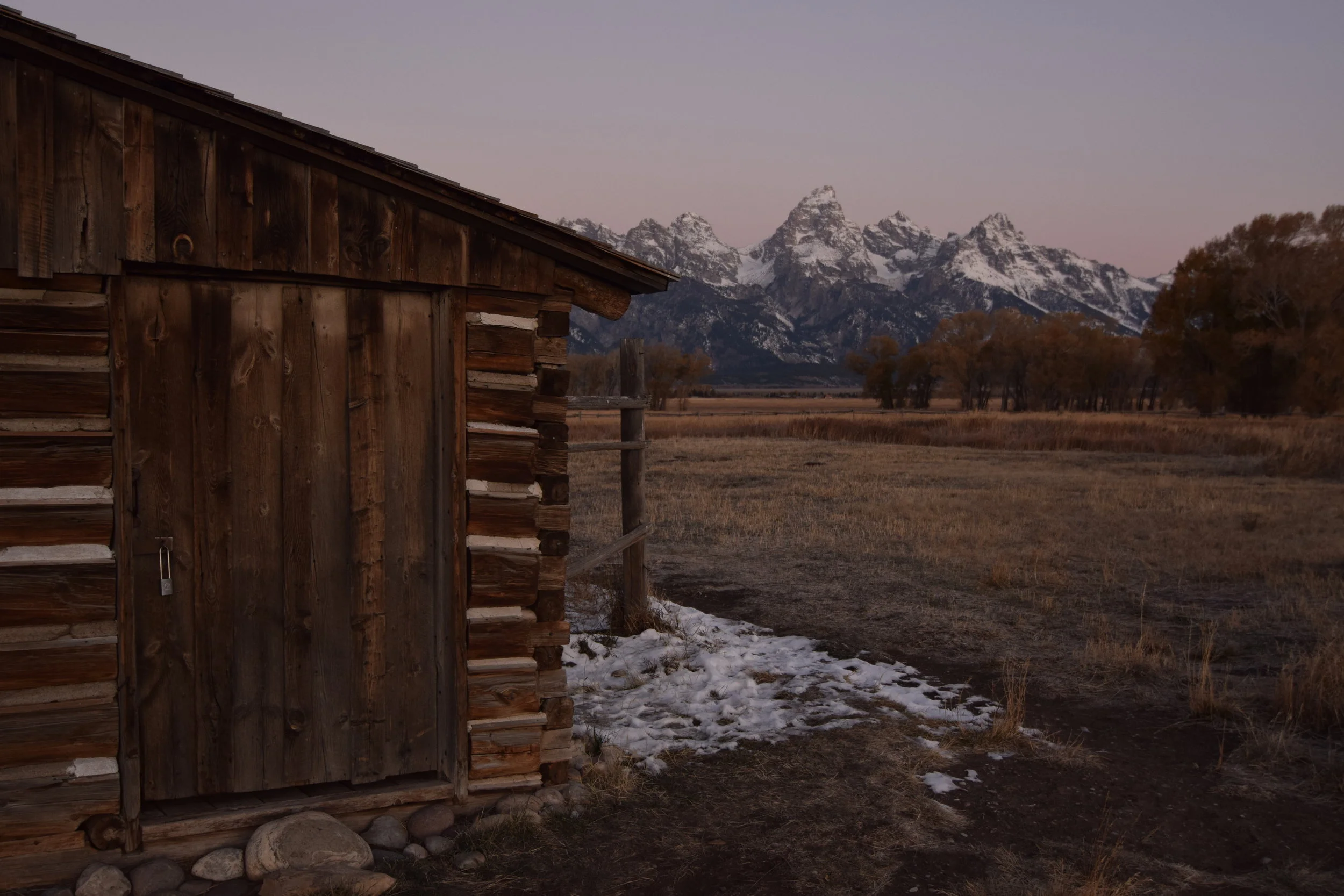  Old Pine - Ben Howard Grand Teton National Park, Wyoming  Prints &nbsp; &nbsp; Canvas &nbsp; &nbsp; Special Order  