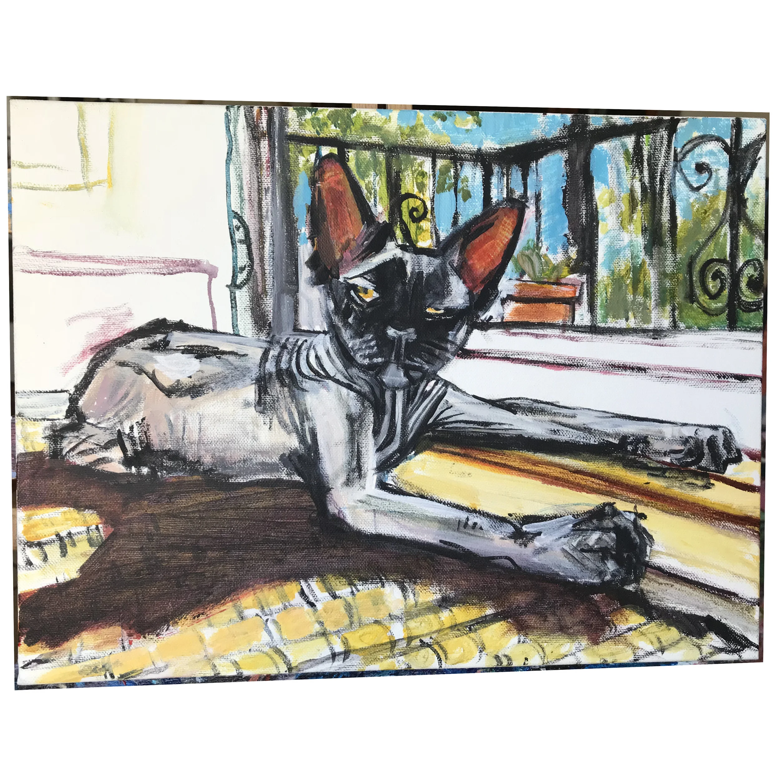 zoo the cat for website sq.jpg