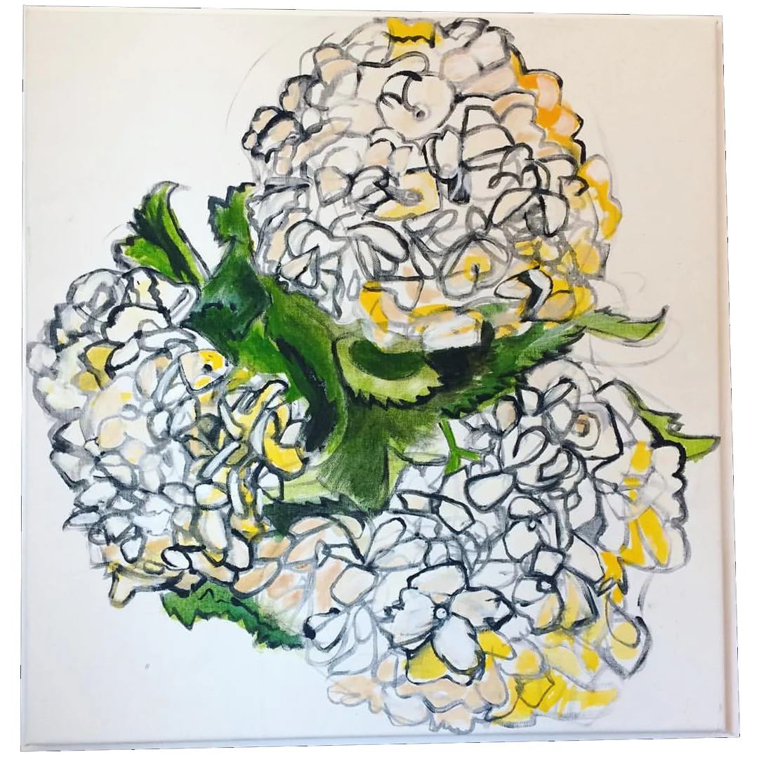 ivory hydrangeas for website SQ.jpg