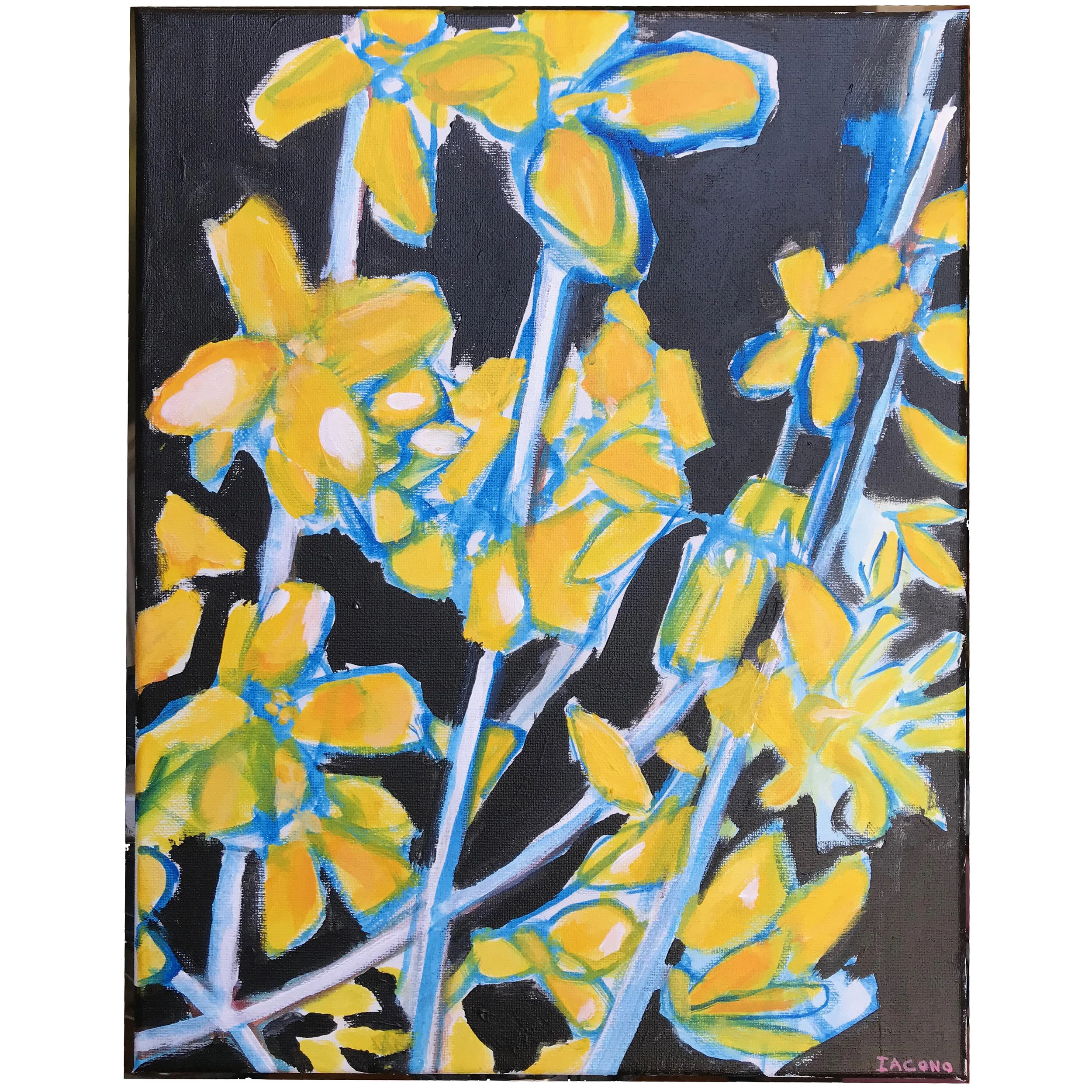 forsythia for website sq copy.jpg