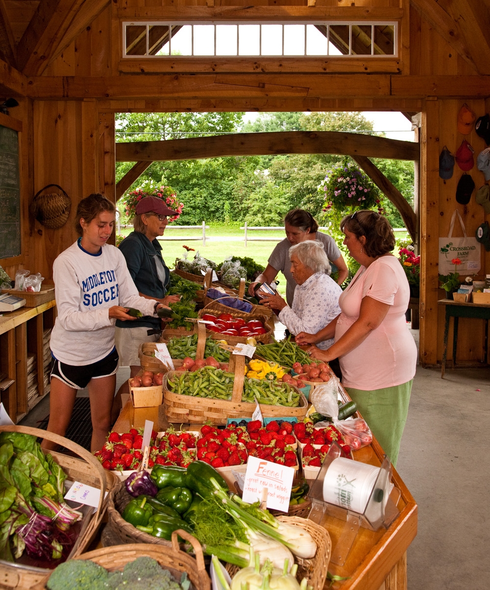 Crossroads-Farm-Stand-Plates-in-tension-ring.jpg