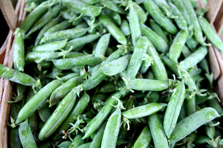 Peas3.jpg