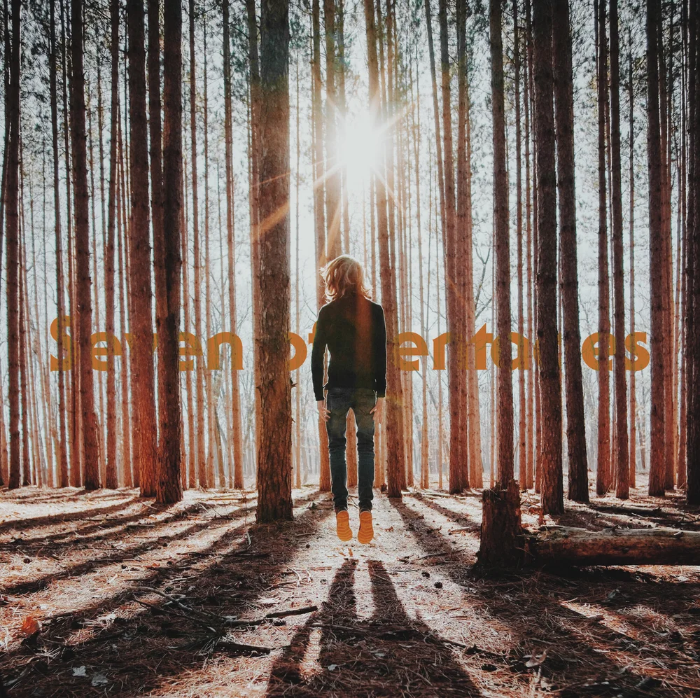 A person floats a few inches above the ground in a forest of tall trees. Sunlight breaks through the canopy, casting long shadows. Time feels suspended.