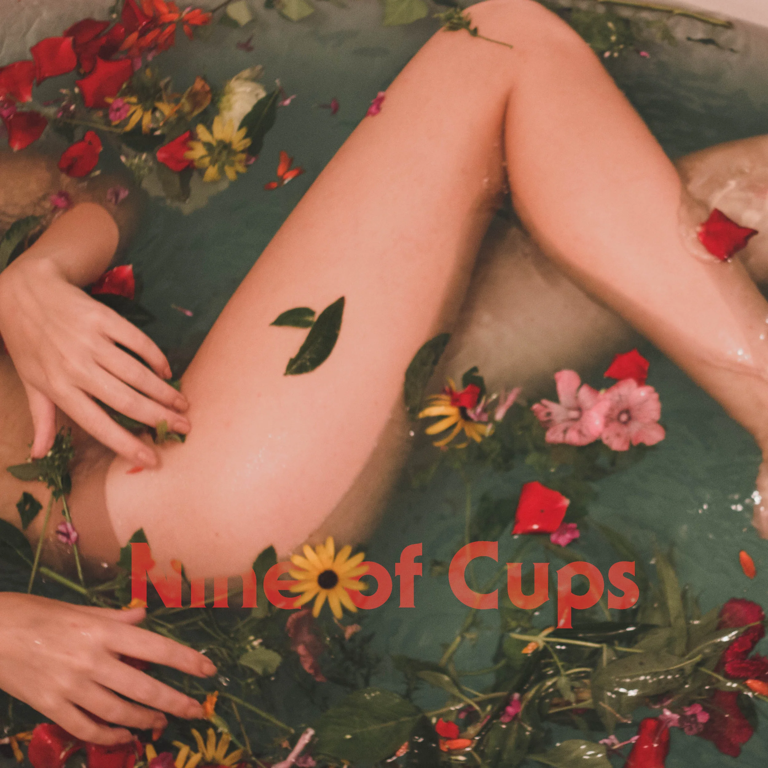 Nine of Cups