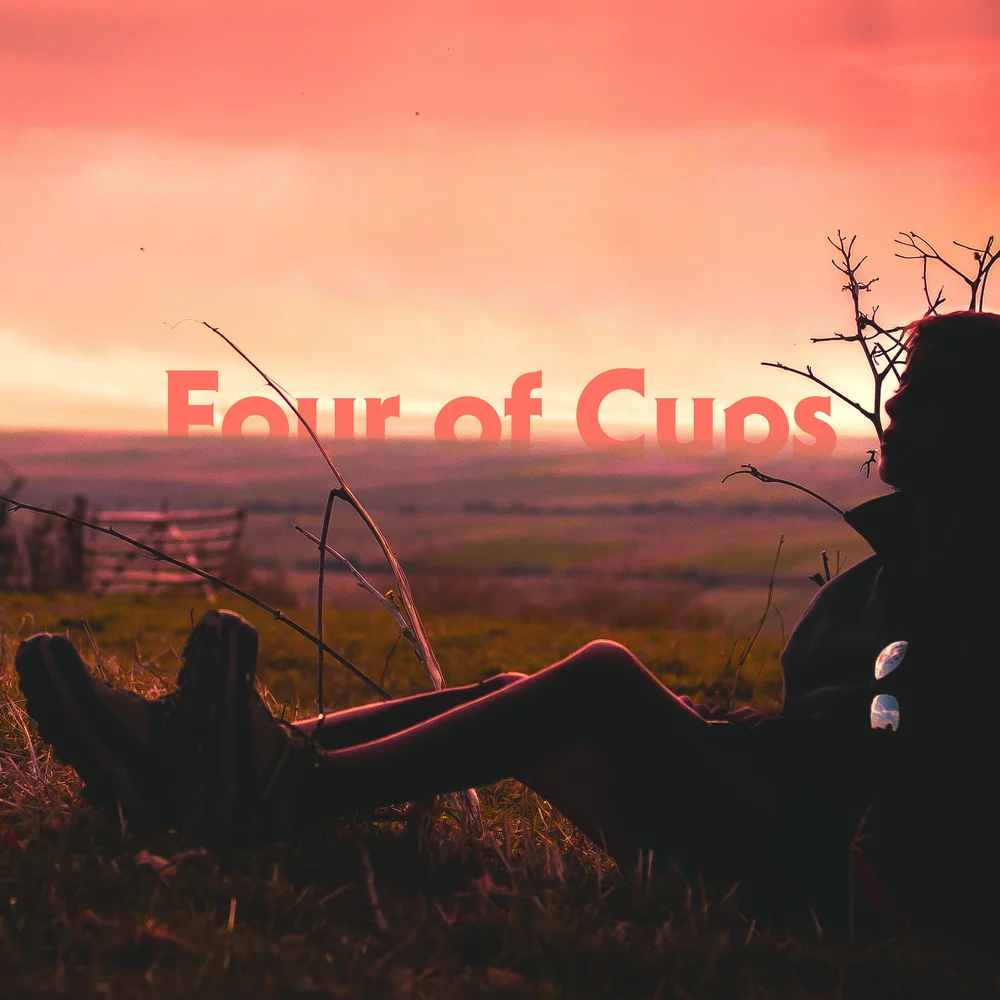 A person reclines in tall grass at sunset, silhouetted against a hazy sky. Bare branches frame their profile as they gaze off, distant and detached, with rolling hills in the background.