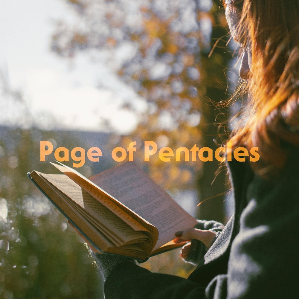 a young person reads a book beneath golden autumn trees. sunlight flickers off the pages, catching the strands of their red hair. they’re bundled in a thick coat, absorbed, content, and utterly still.