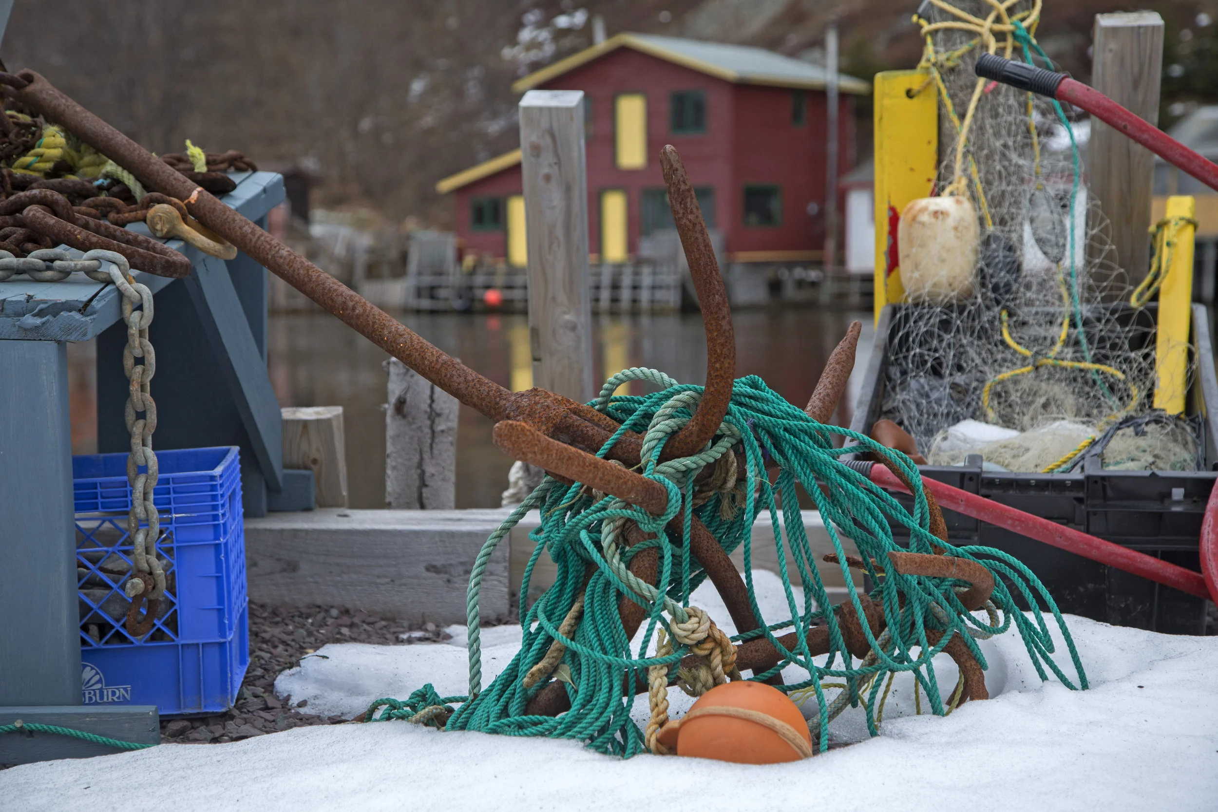 Quidi Vidi Xmas 2017 (1).jpg