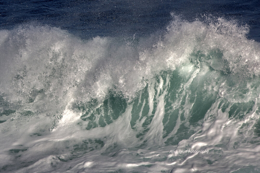 waves (63).jpg