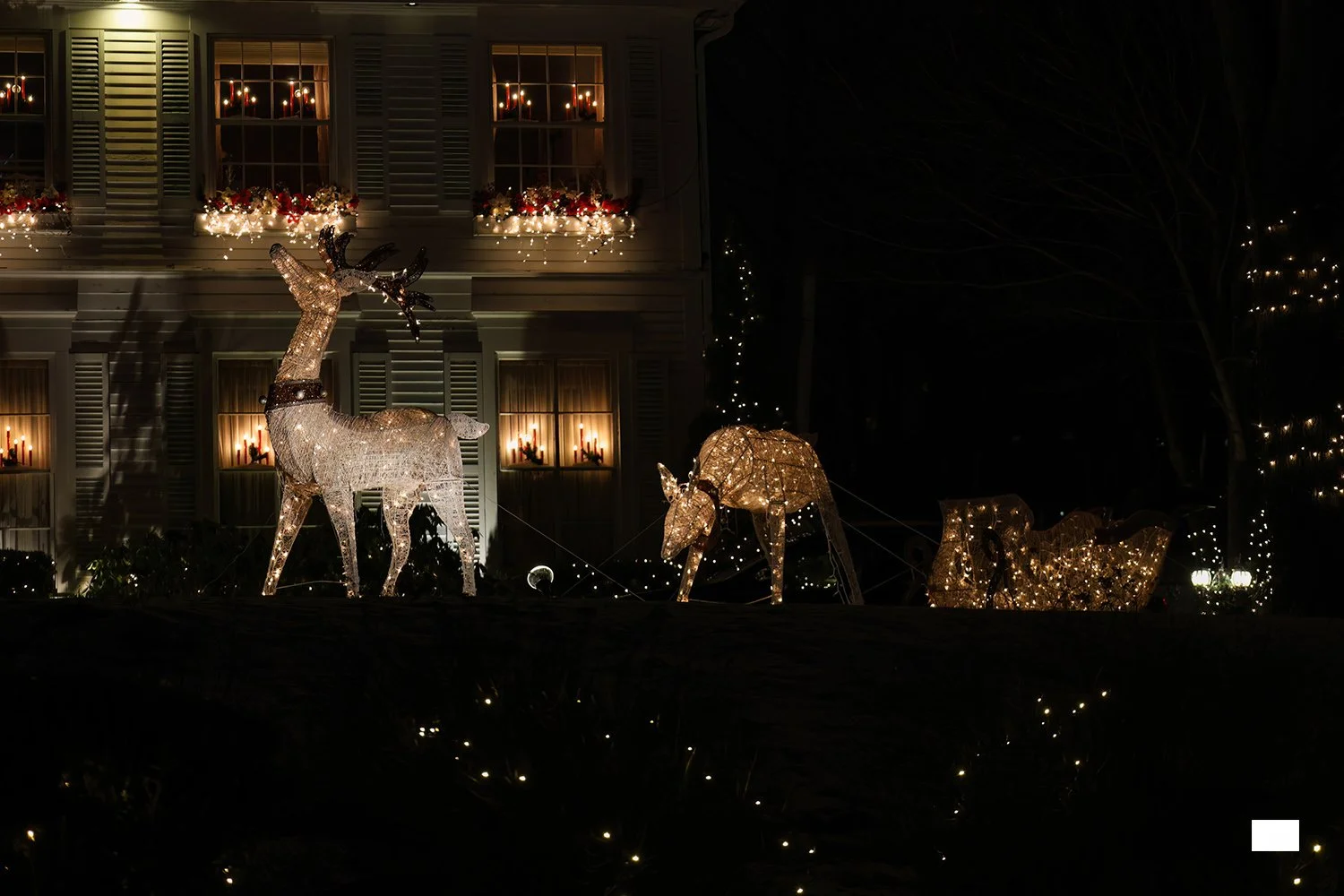 Pringle Place St John's - 3- Alick.jpg