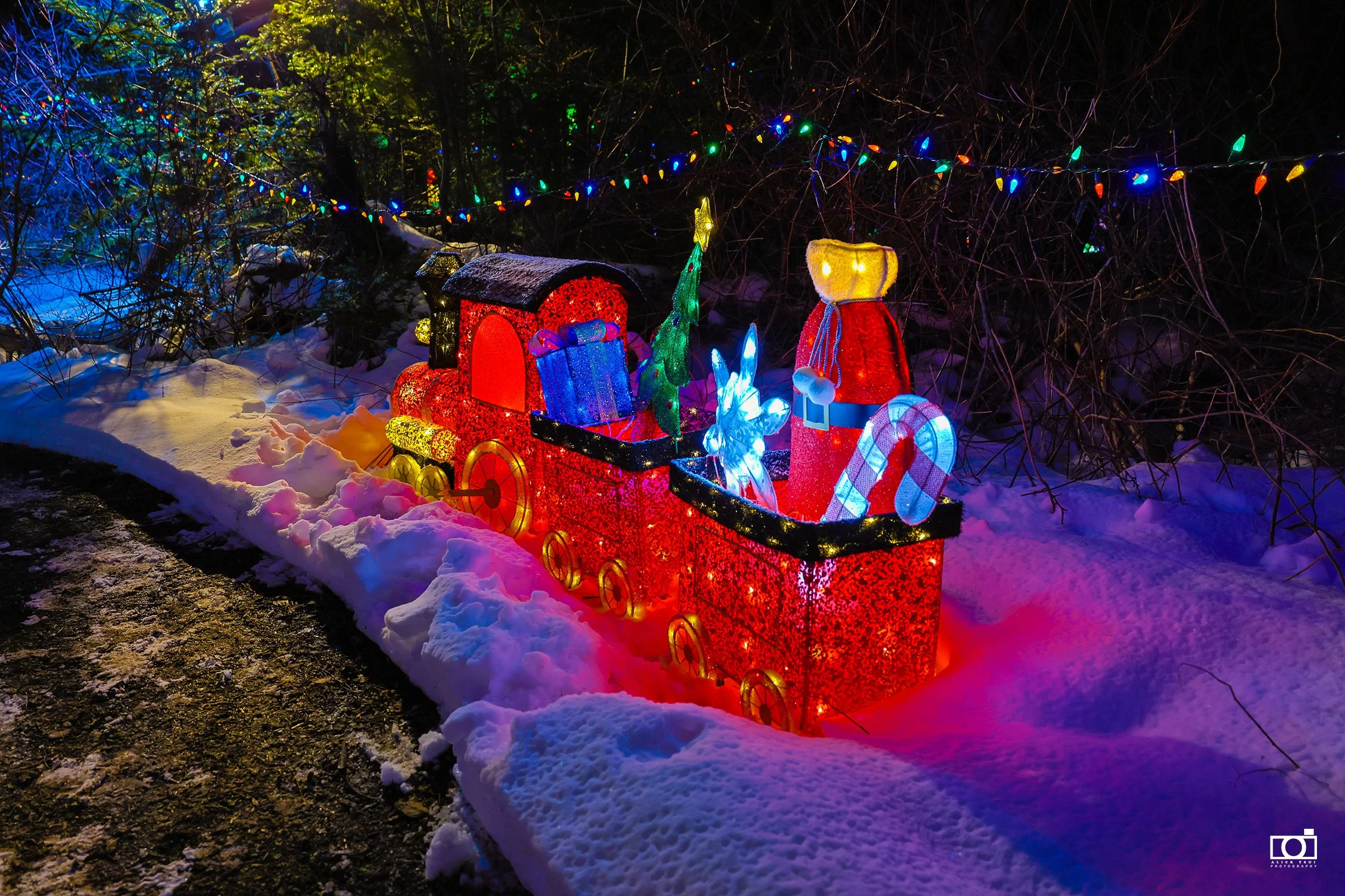 Xmas at Dinasaur Park - 36- Alick.jpg