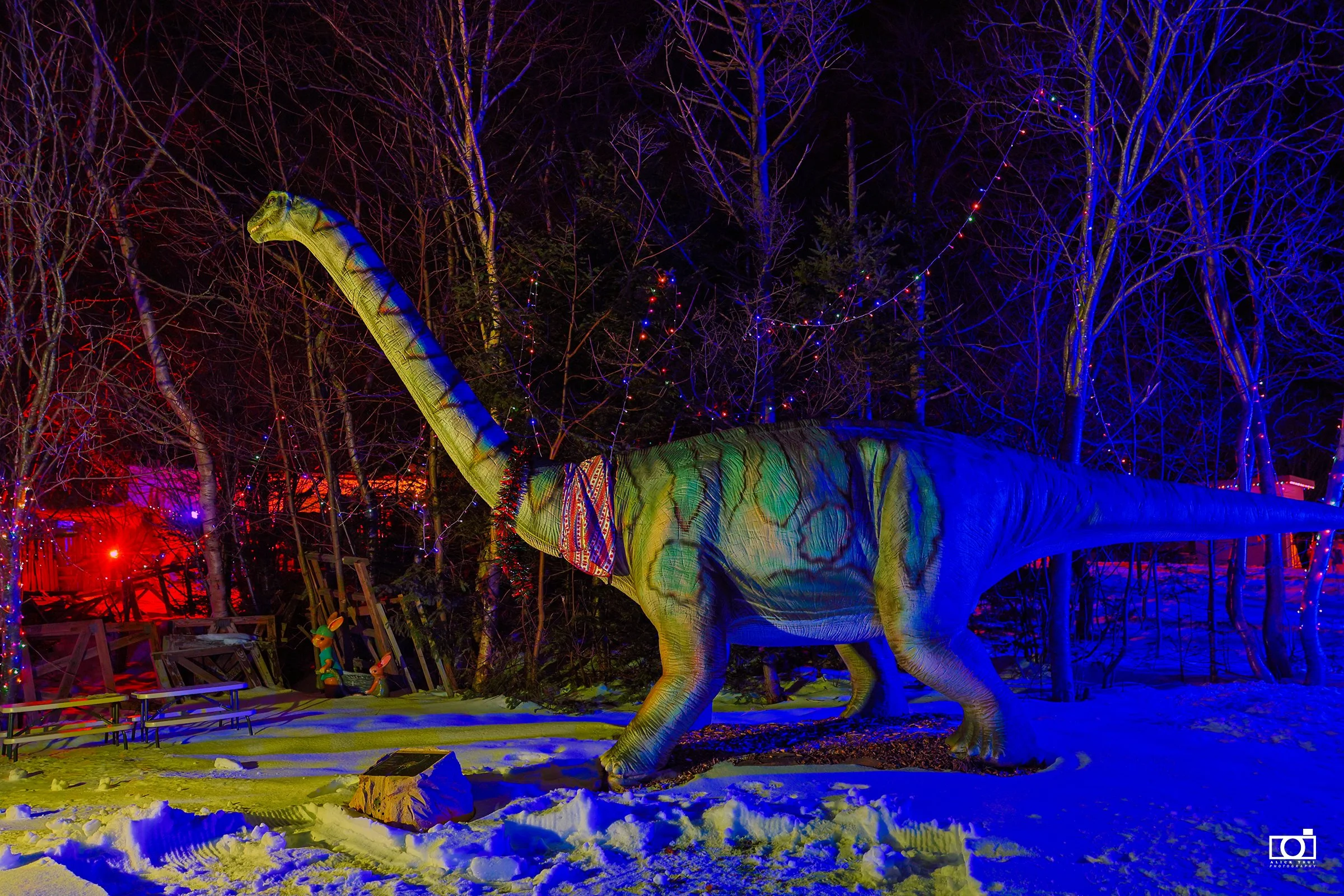 Xmas at Dinasaur Park - 60- Alick.jpg