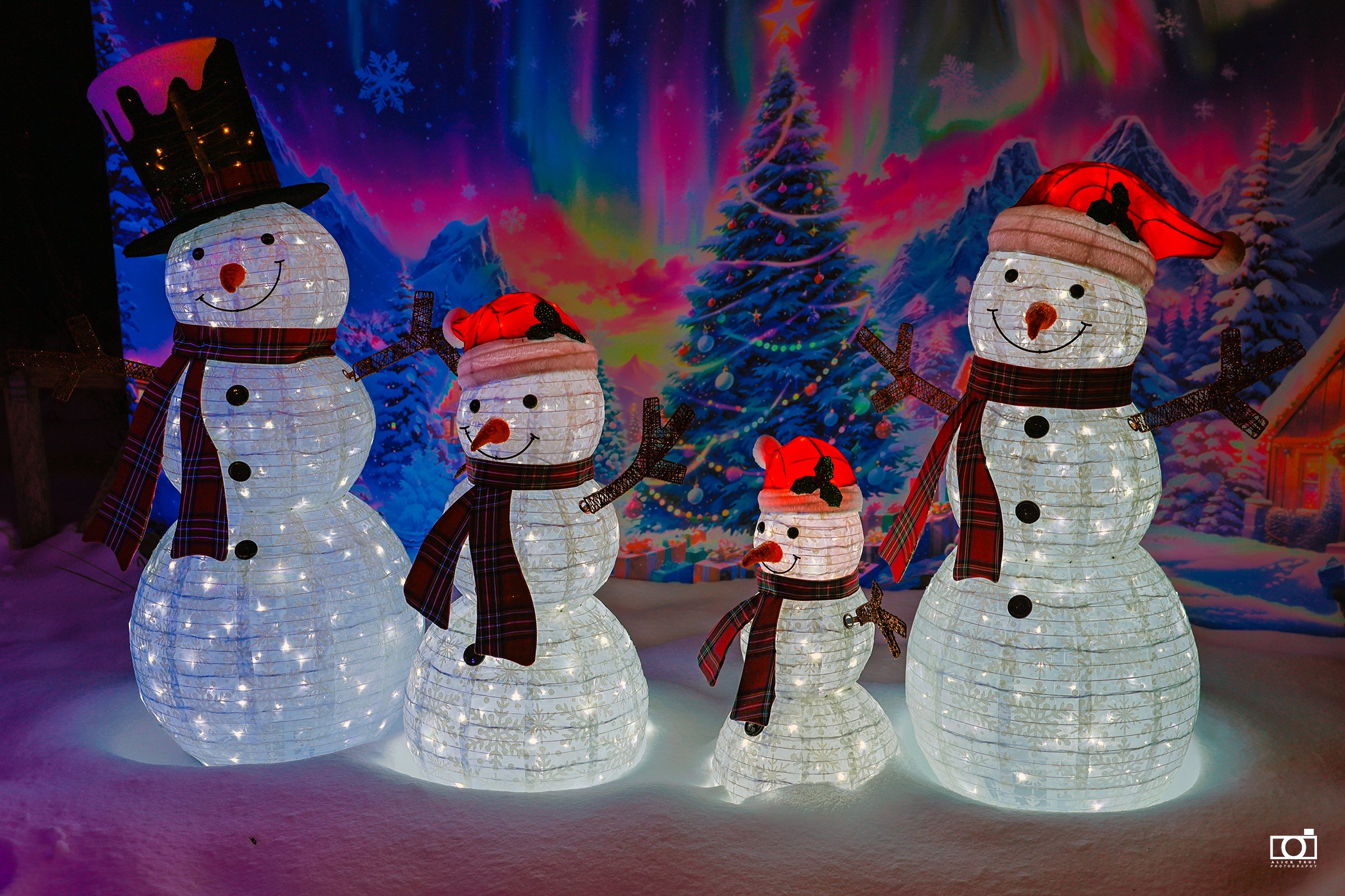 Xmas at Dinasaur Park - 41- Alick.jpg