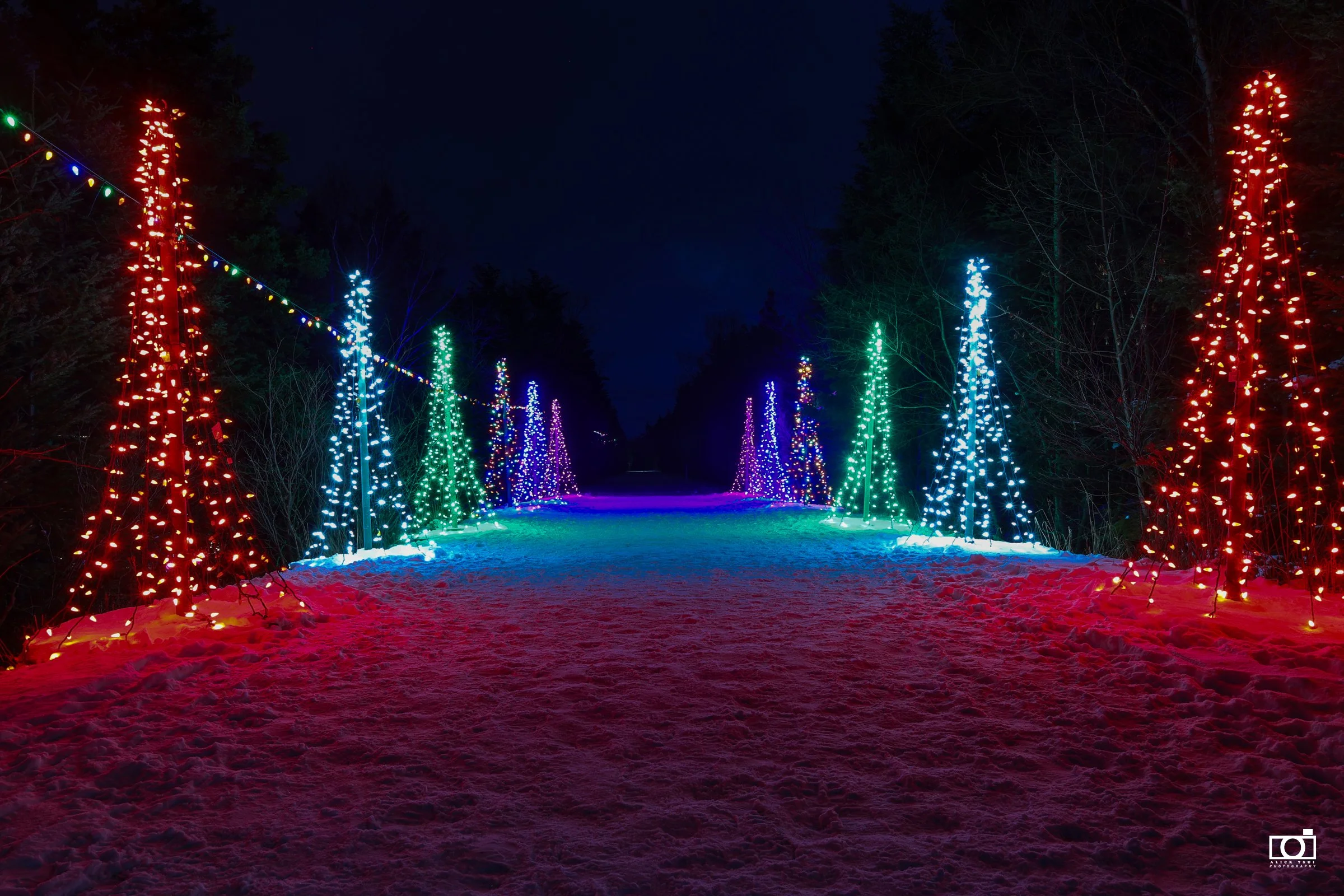 Xmas at Manuals Walking Trail - 21- by Alick.jpg