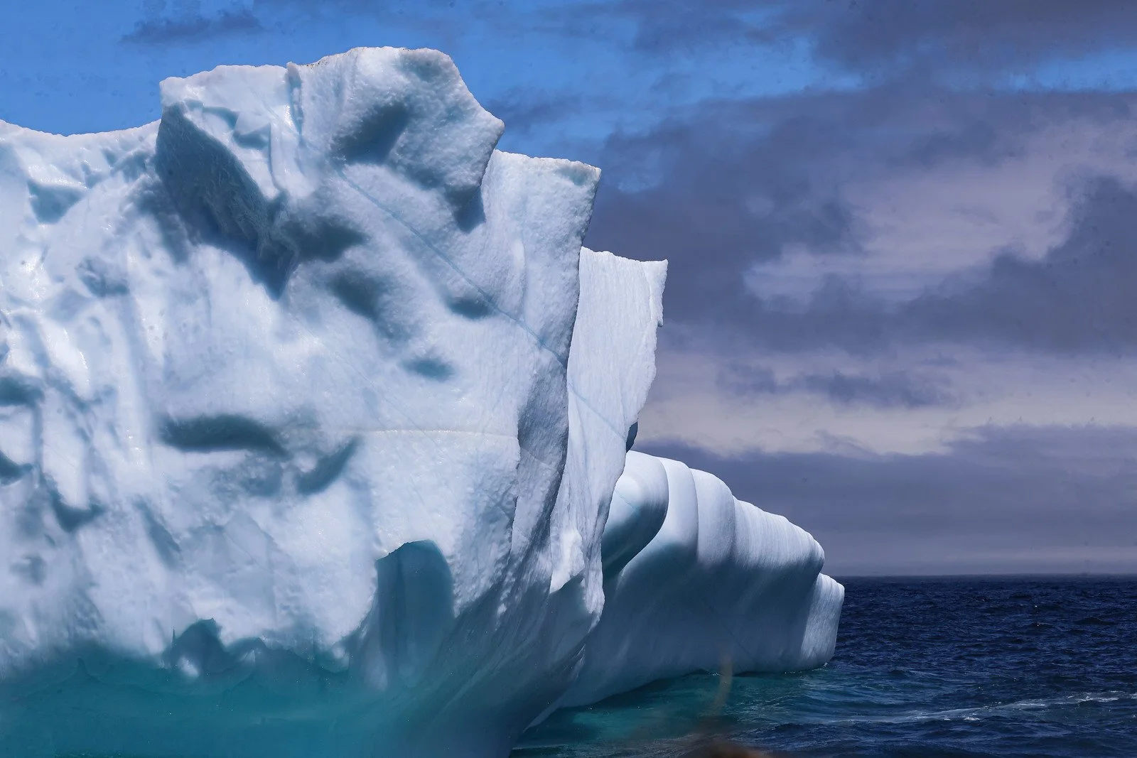Iceberg IQ May 16 # 26