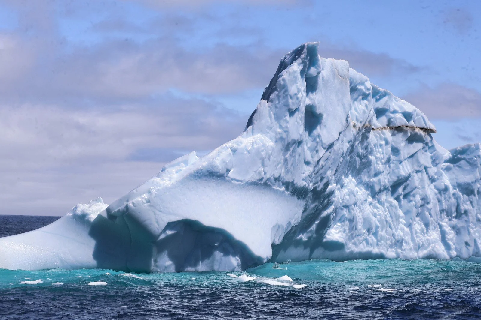 Iceberg IQ May 16 # 32