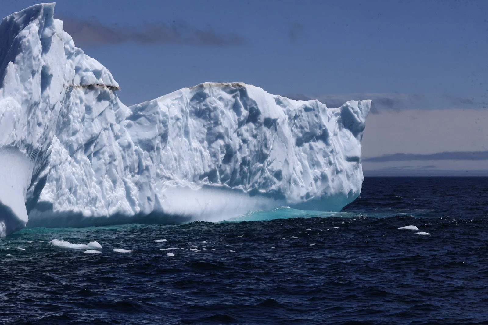 Iceberg IQ May 16 # 34
