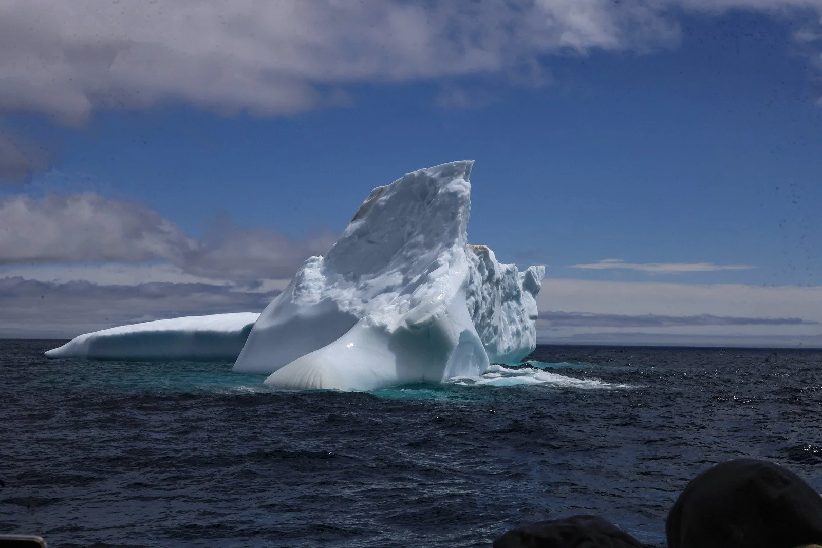 Iceberg IQ May 16 # 13
