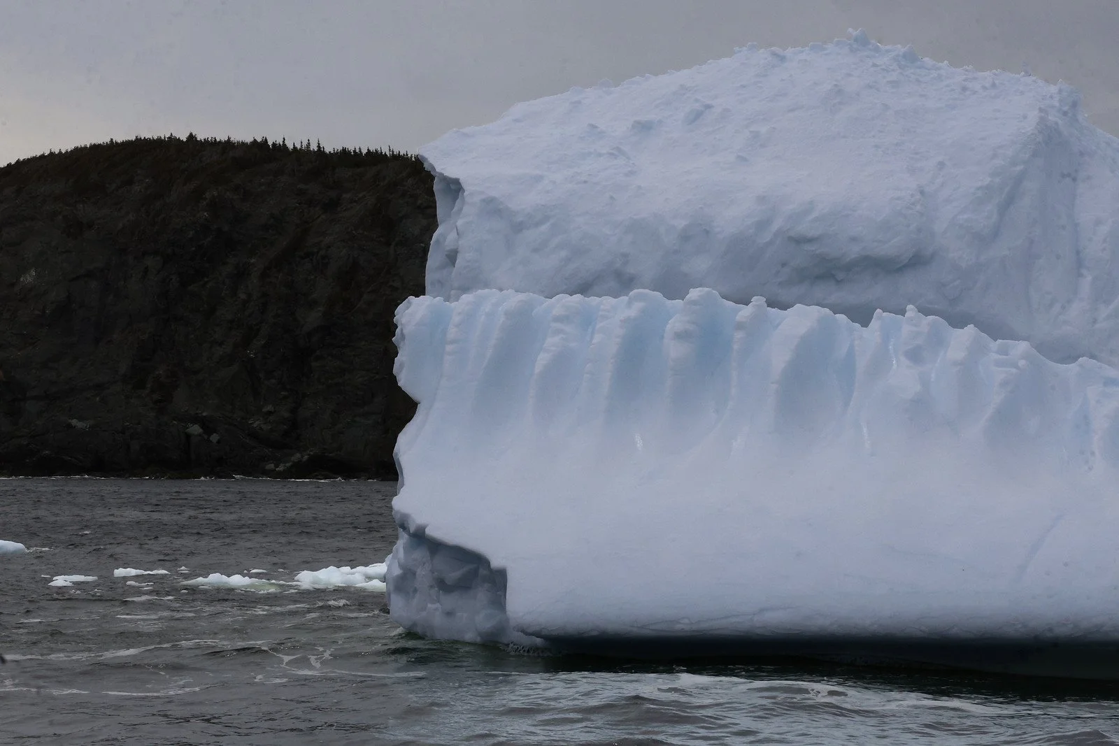 Twillingate II # 5