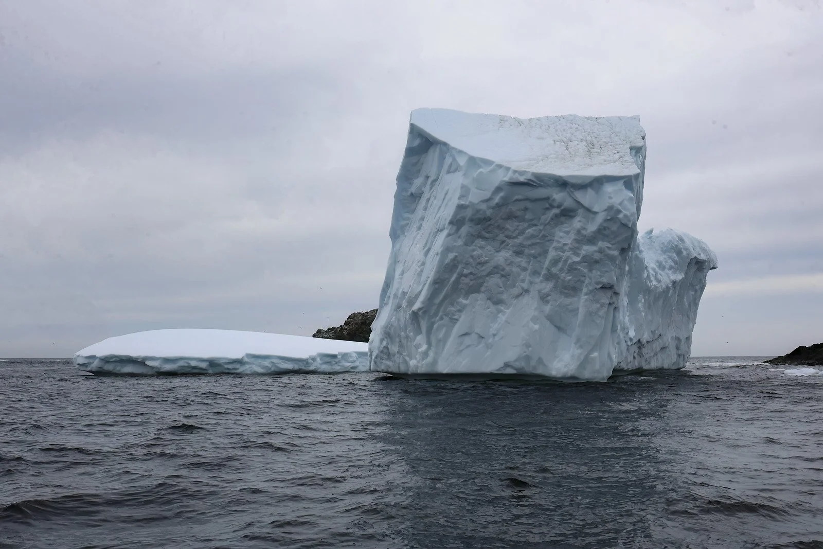 Twillingate II # 18