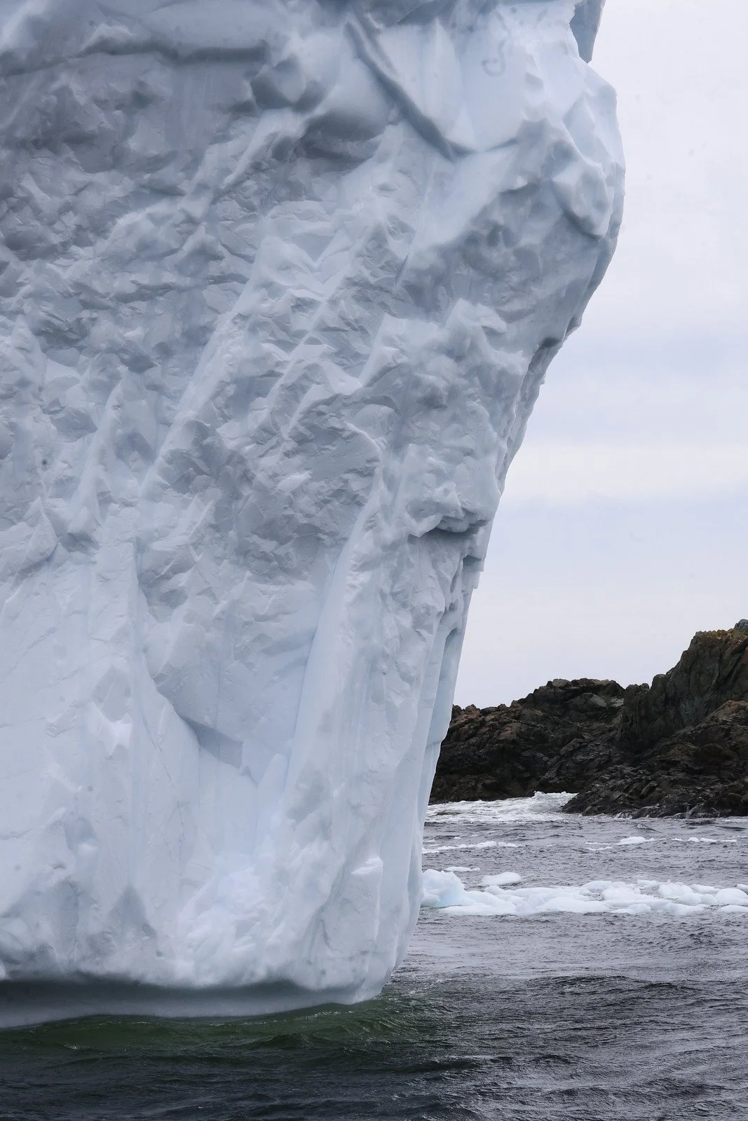 Twillingate II # 11