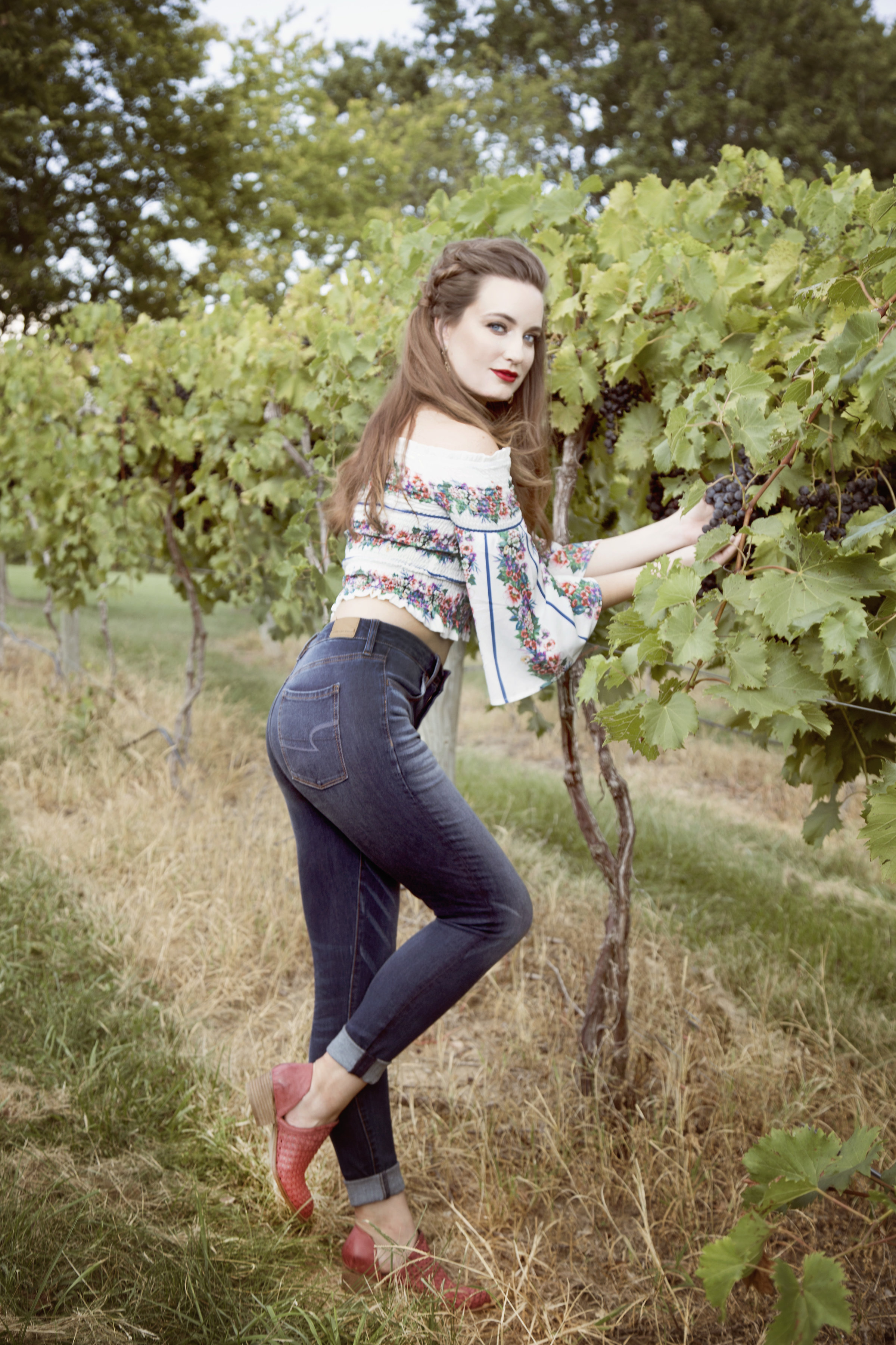13vineyard.jpg